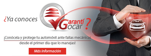 Gocar Paso1